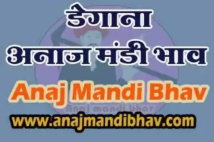 Degana Anaj mandi bhav