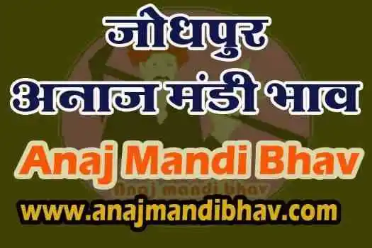 Jodhpur Anaj mandi bhav