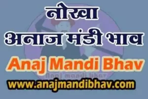 Nokha Anaj mandi bhav