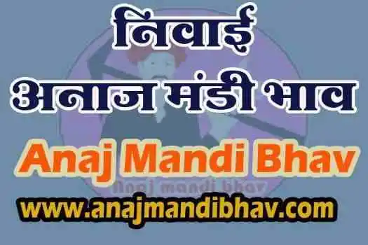 Anaj mandi bhav Niwai