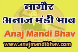 Nagaur Anaj mandi bhav