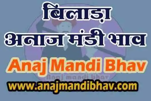 Bilara Anaj mandi bhav